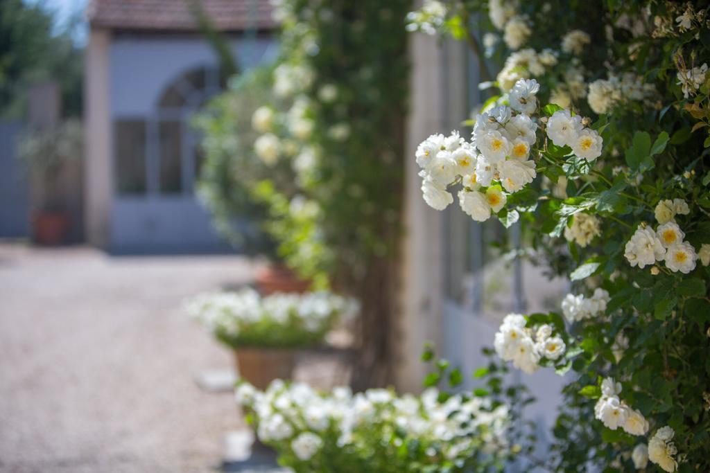 Domaine De Blanche Fleur Hotel Châteauneuf-de-Gadagne Exterior foto